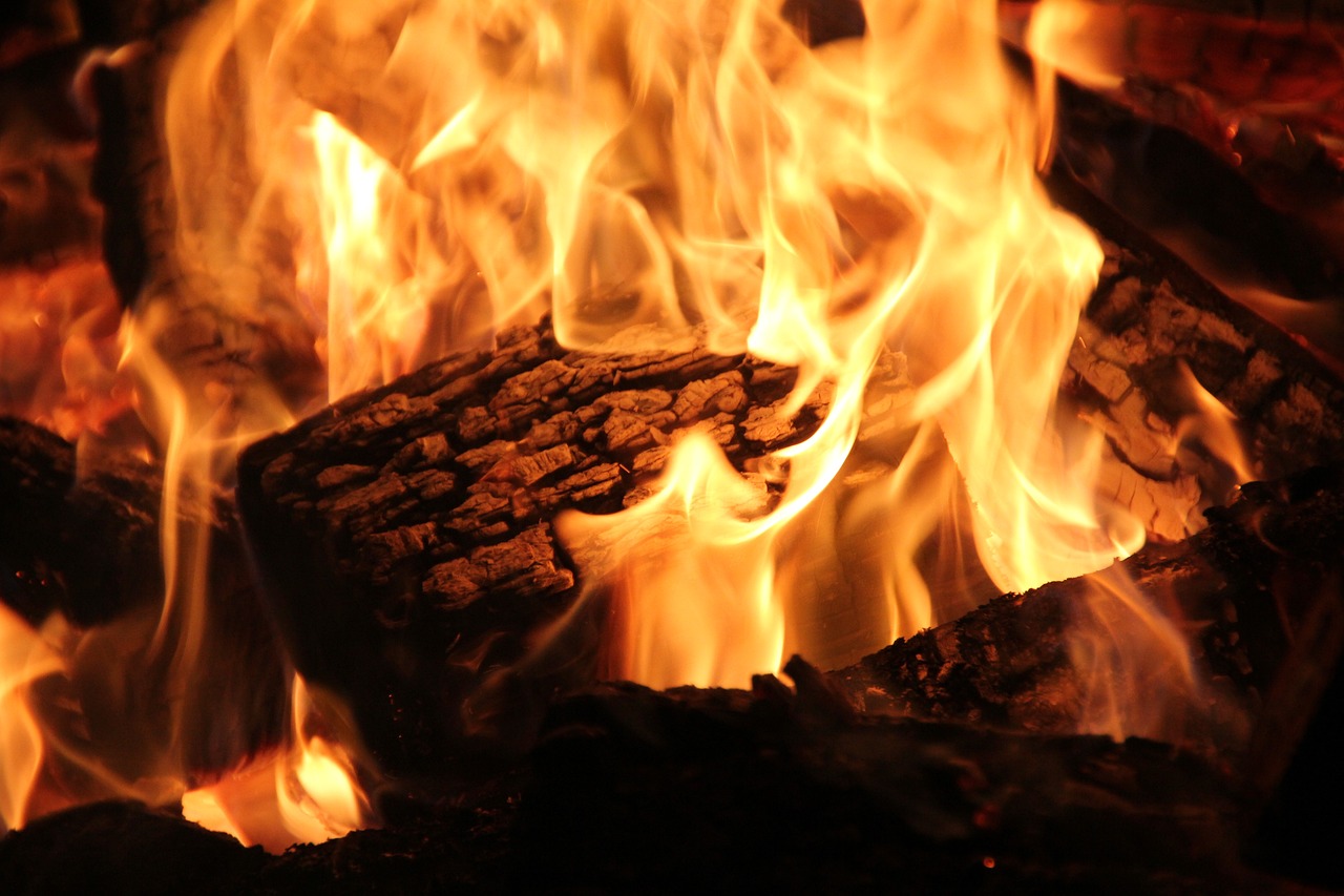 Professional Fireplace Cleaning Services In Webster Michigan